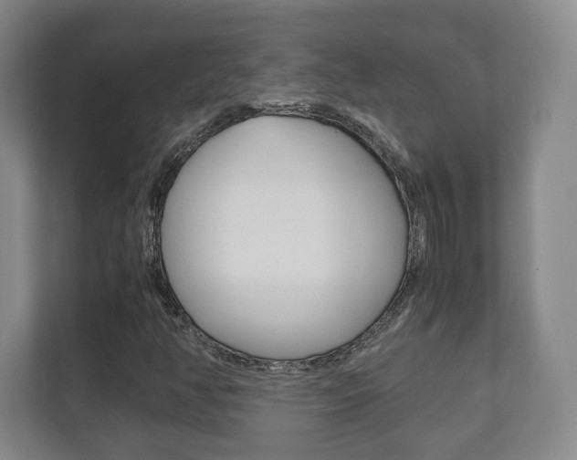 X0000111811350200907231007