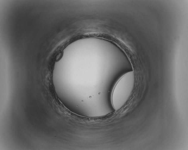 X0000111811351200907231007