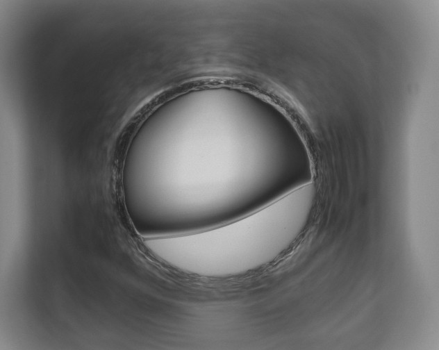 X0000111811352200907231007