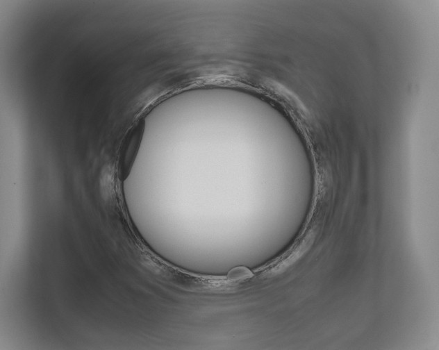 X0000111811353200907231007