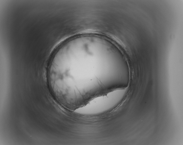 X0000111811356200907231007