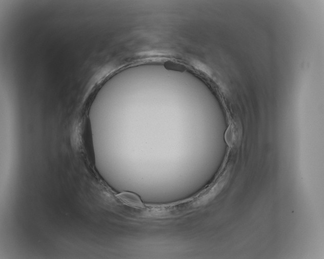 X0000111811357200907231007