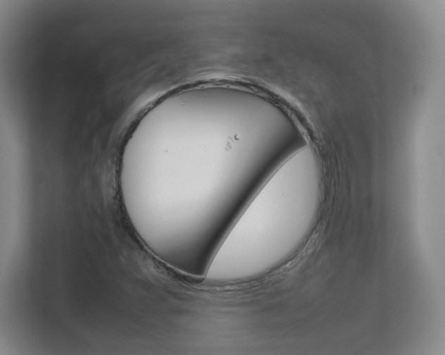 X0000111811359200907231007