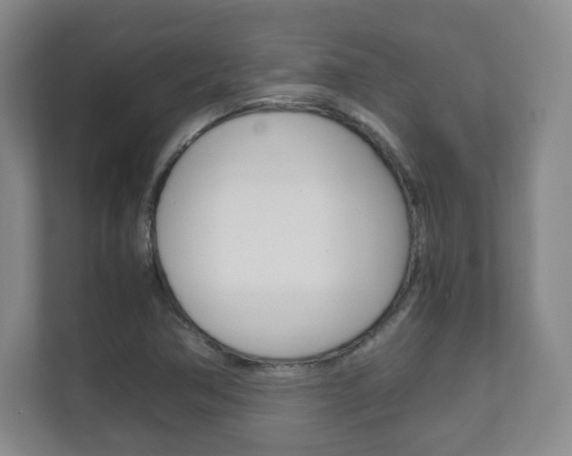 X0000111811362200907231007