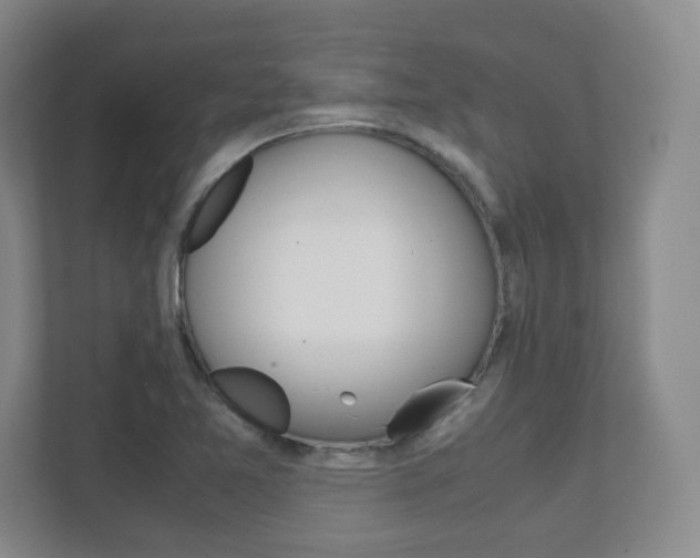 X0000111811365200907231007
