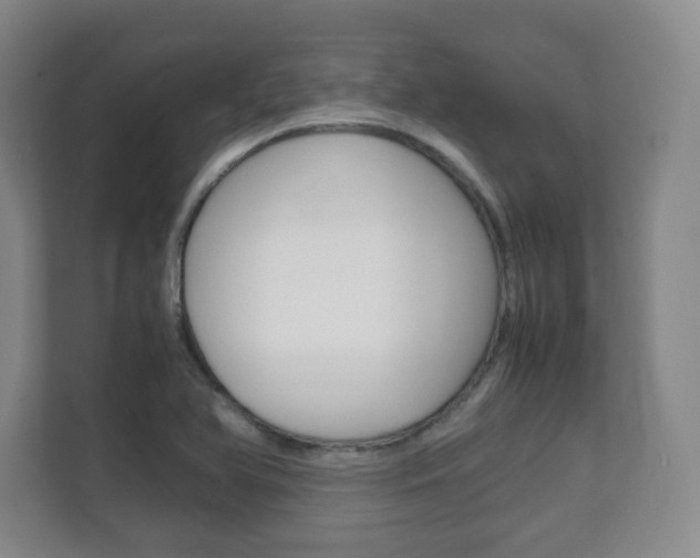 X0000111811366200907231007