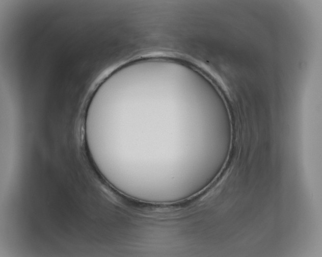 X0000111811367200907231007