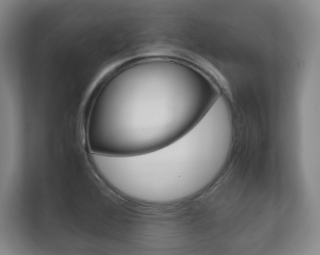 X0000111811368200907231007