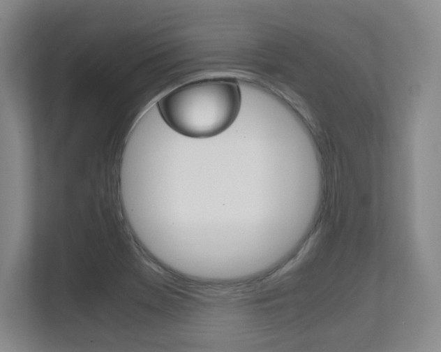 X0000111811369200907231007