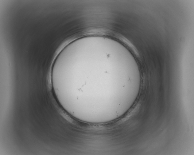 X0000111811370200907231007
