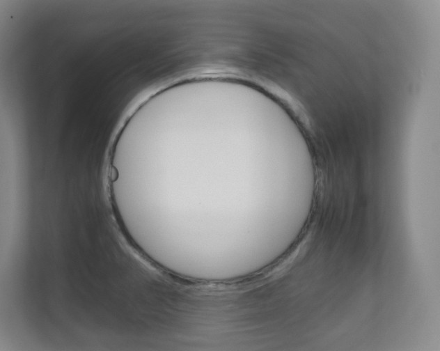 X0000111811374200907231007