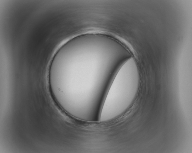 X0000111811375200907231007