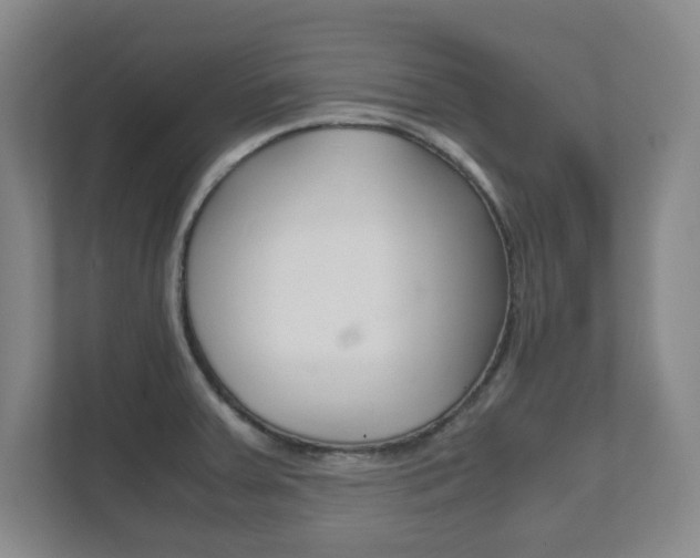 X0000111811379200907231007