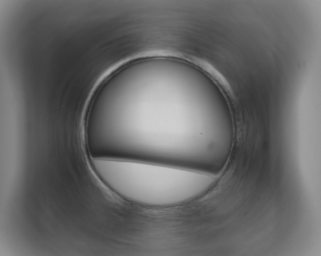 X0000111811380200907231007