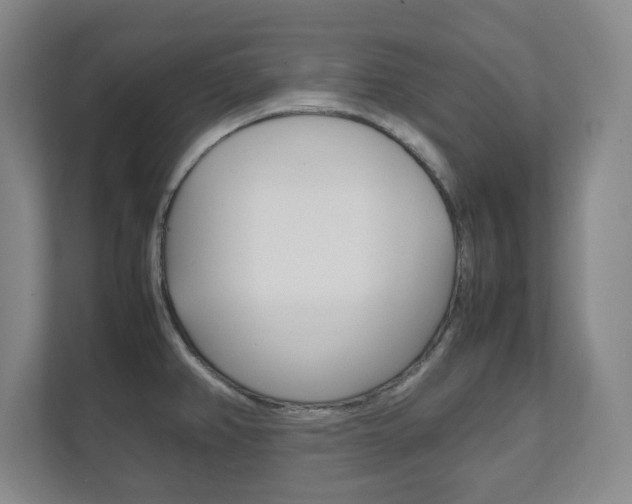 X0000111811382200907231007