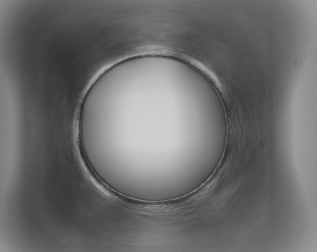 X0000111811383200907231007