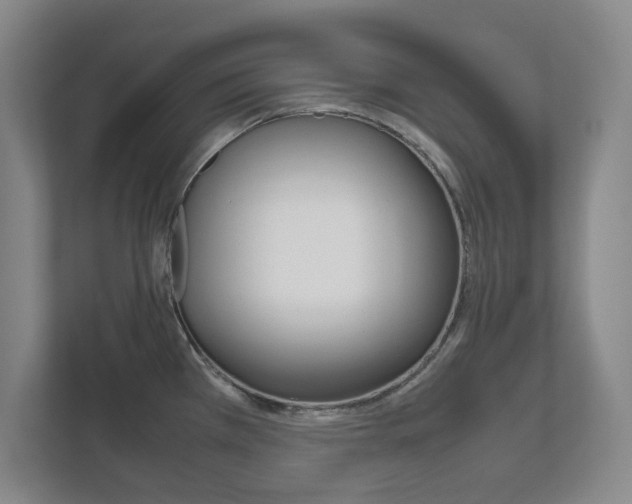 X0000111811385200907231007