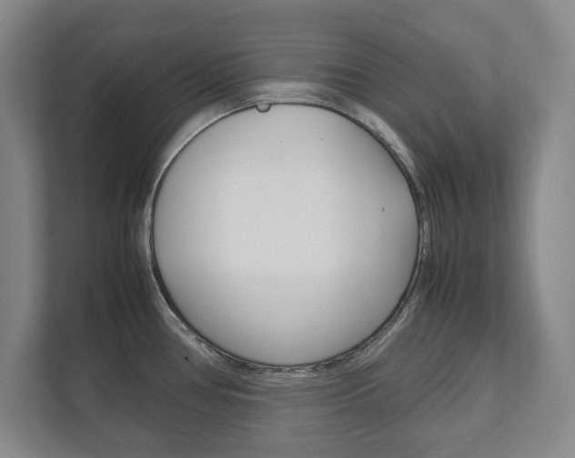 X0000111811386200907231007
