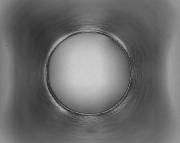 X0000111811387200907231007