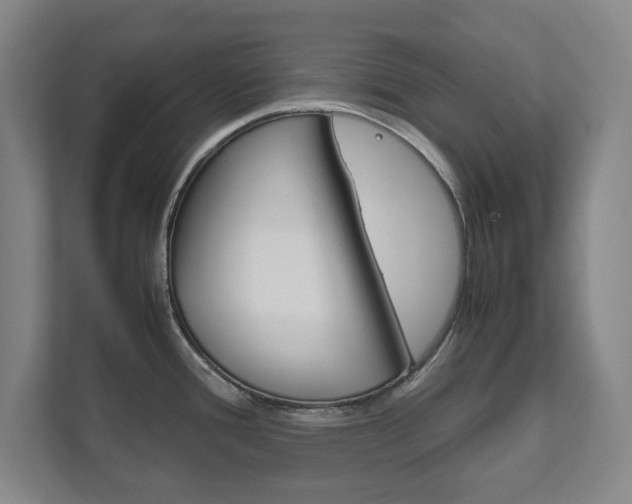 X0000111811388200907231007