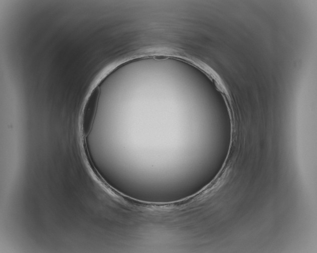 X0000111811389200907231007