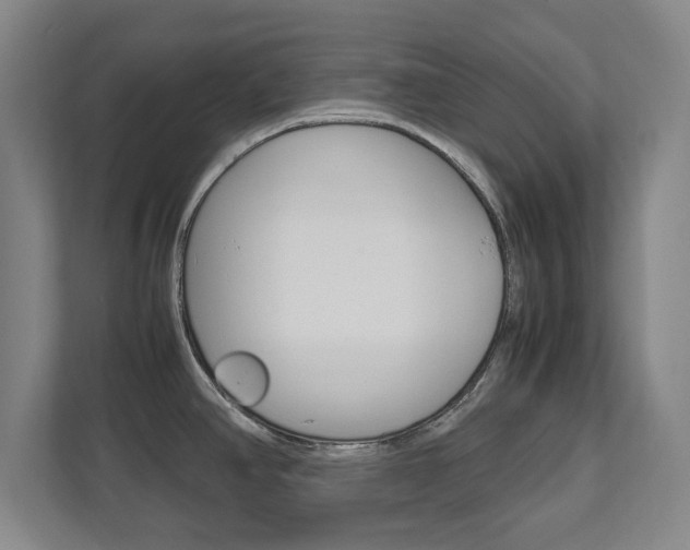 X0000111811390200907231007