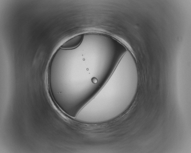 X0000111811391200907231007