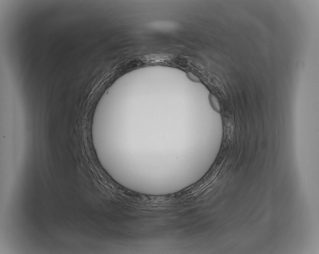 X0000111811393200907231006
