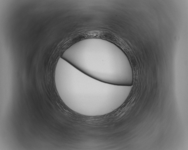 X0000111811394200907231006