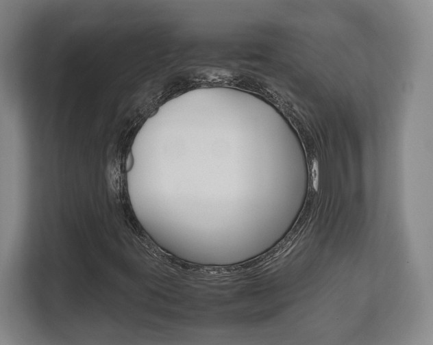 X0000111811395200907231006