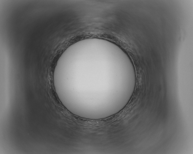 X0000111811397200907231006