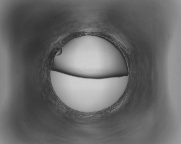 X0000111811398200907231006