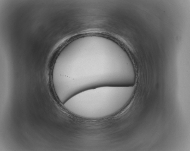 X0000111811406200907231006