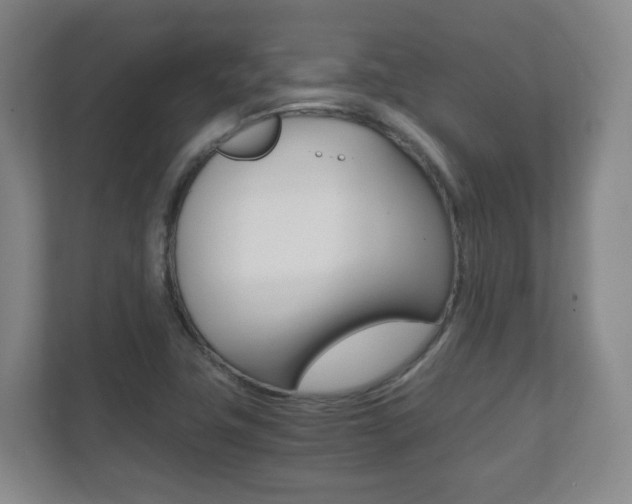 X0000111811411200907231006