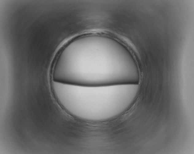 X0000111811412200907231006