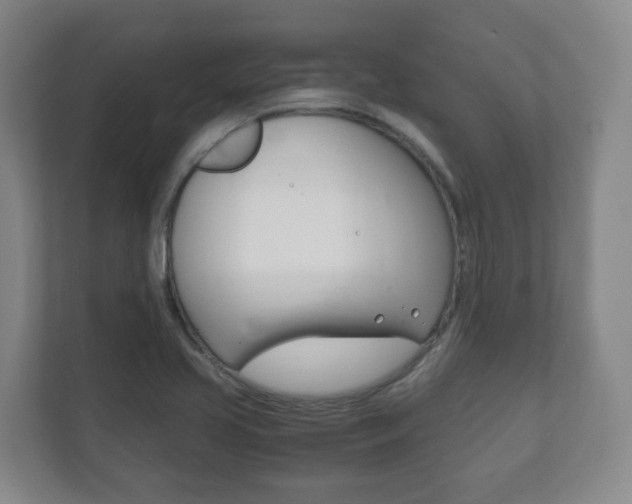X0000111811413200907231006