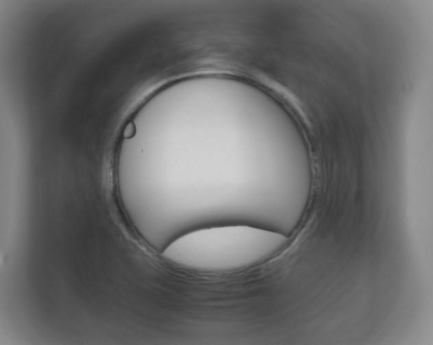 X0000111811415200907231006