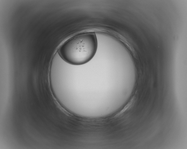 X0000111811417200907231006