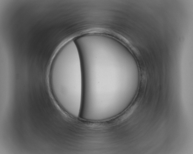 X0000111811418200907231006