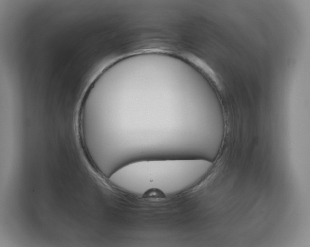 X0000111811423200907231006