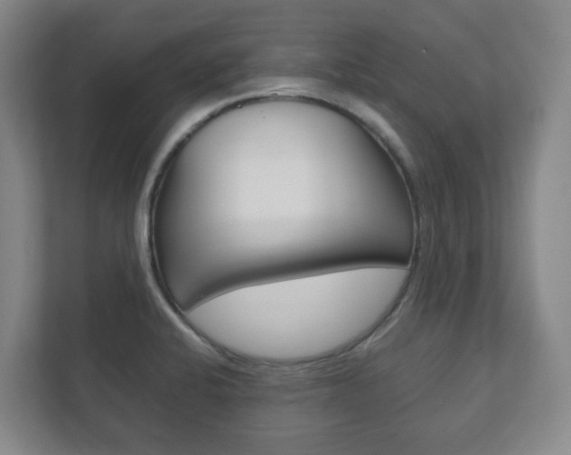 X0000111811424200907231006