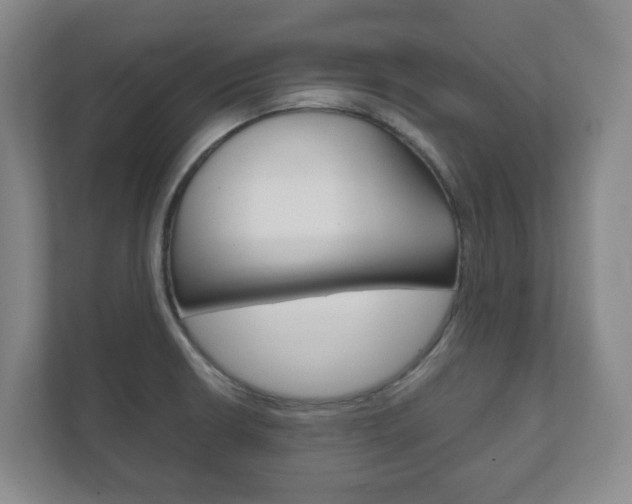 X0000111811426200907231006