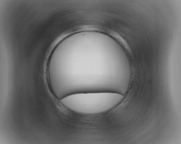 X0000111811427200907231006