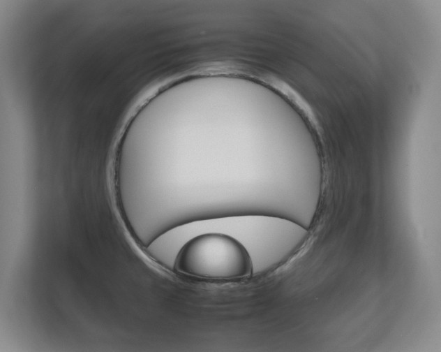 X0000111811429200907231006