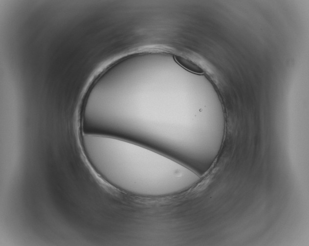 X0000111811430200907231006