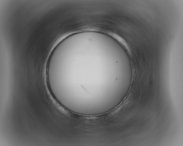 X0000111811431200907231006