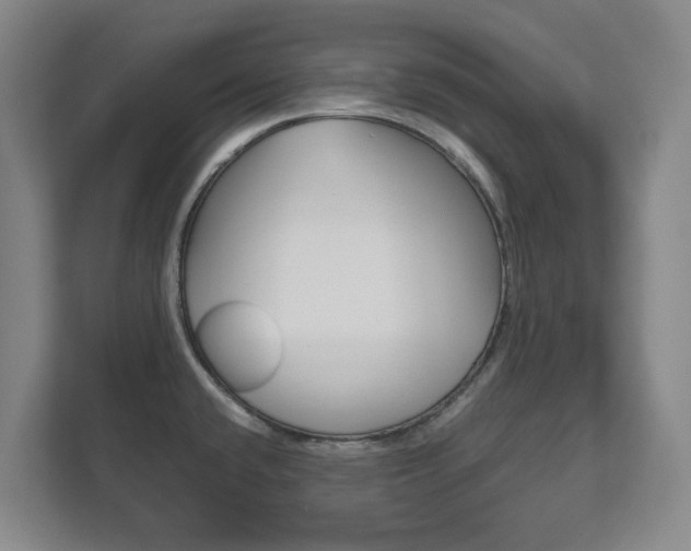 X0000111811432200907231006