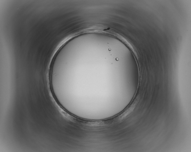 X0000111811434200907231006