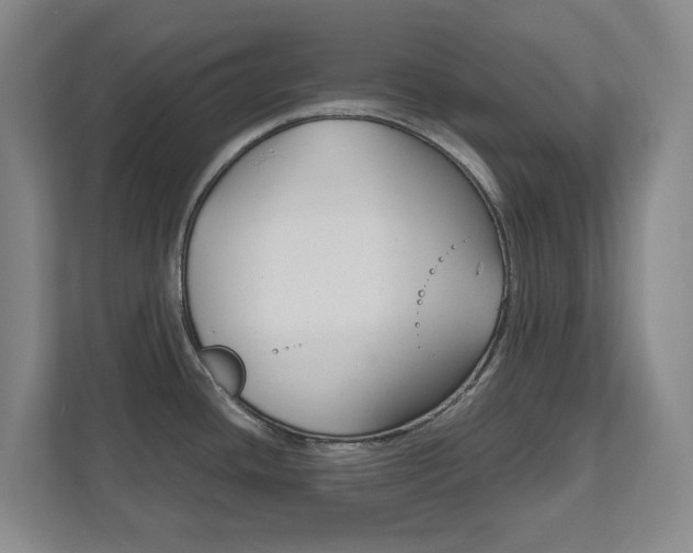 X0000111811436200907231007