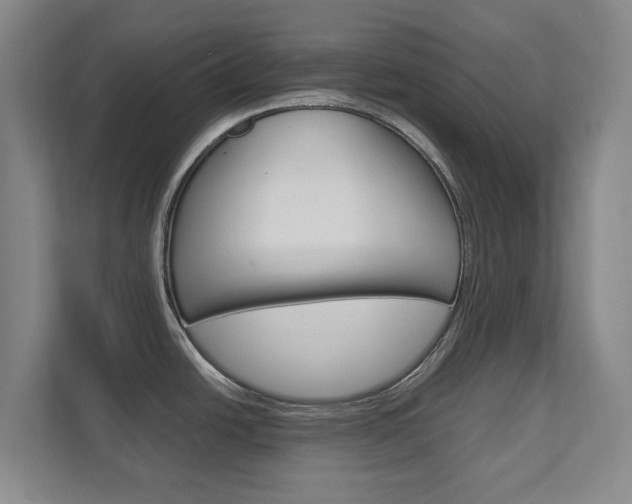 X0000111811438200907231007